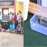 Red Mercury Tube Fraud