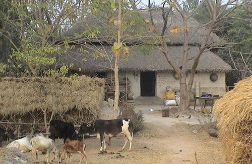 bengali villages tour packages 500x500 1