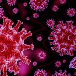 corona Virus 6 e1590856813393