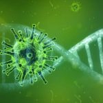 coronavirus 4833754 1920