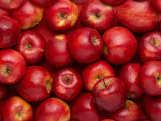 Apple fruit FINAL