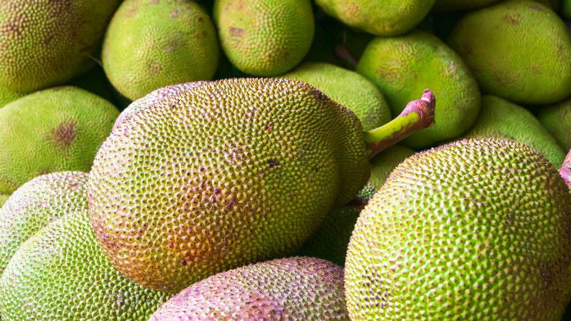 Jackfruit large