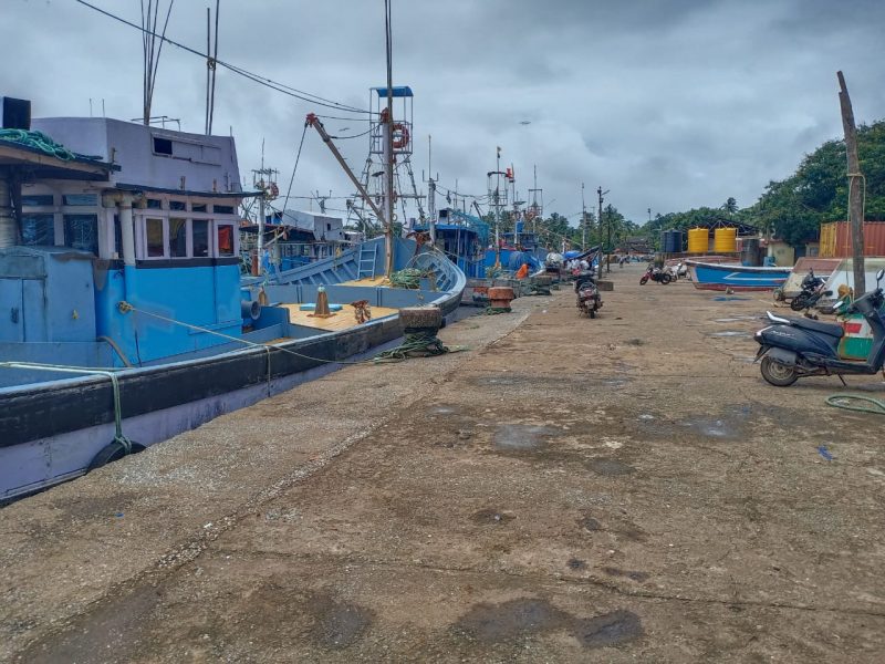KWR FISHING FISH 2 4