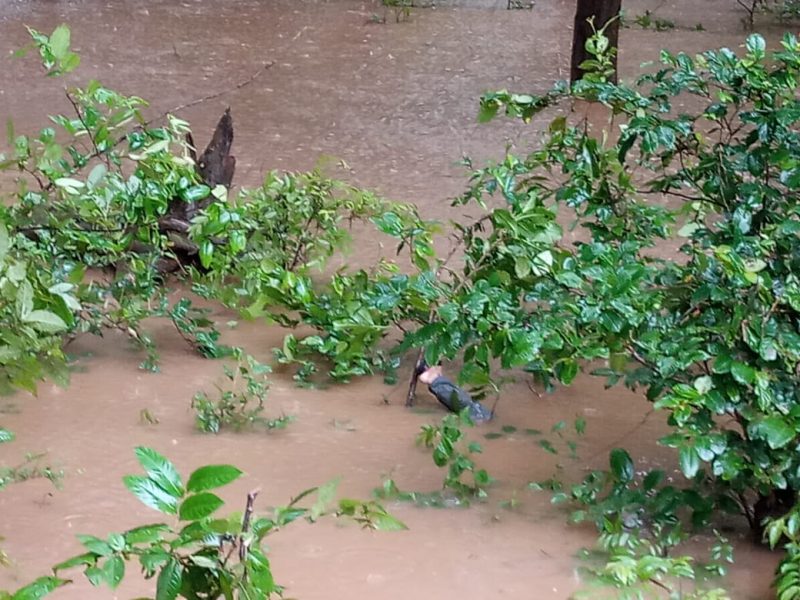 KWR RAIN 1
