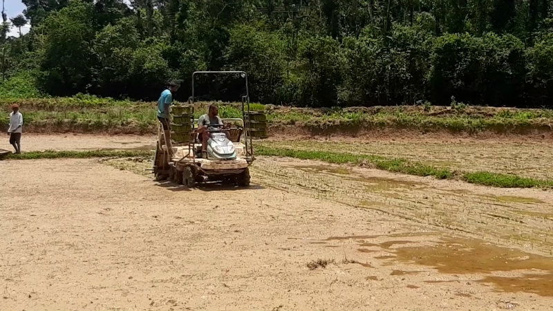 MDK Agriculture Farmers 3