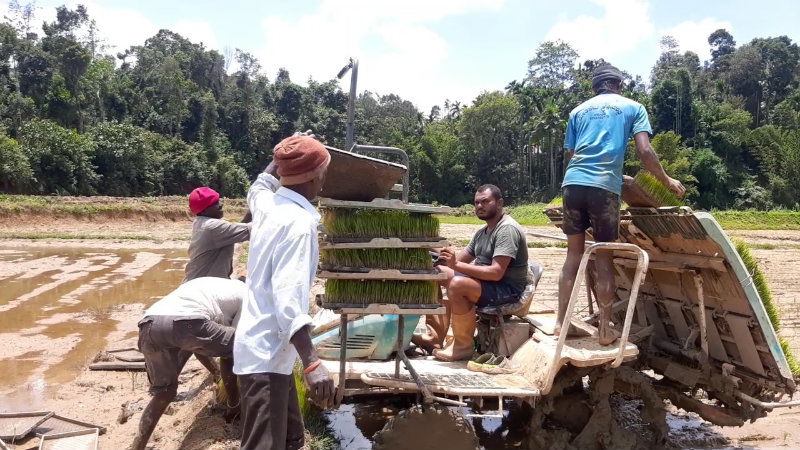 MDK Agriculture Farmers 4
