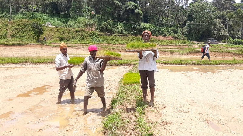 MDK Agriculture Farmers 6