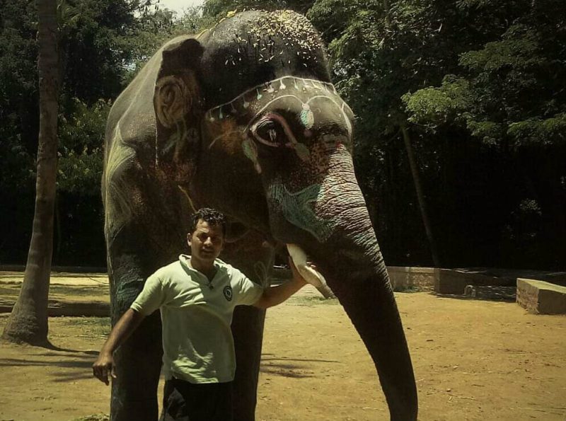 Mysuru zoo Elephant caretaker 1