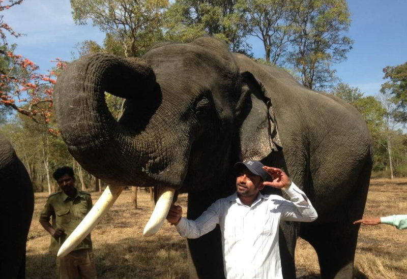 Mysuru zoo Elephant caretaker 2