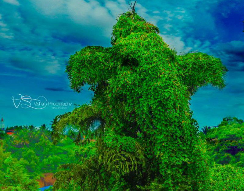 Nature Ganapathi medium