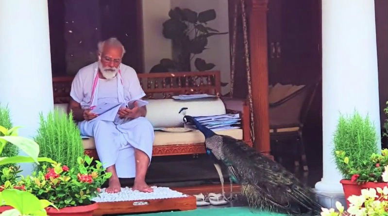 PM Modi peacock 4 medium