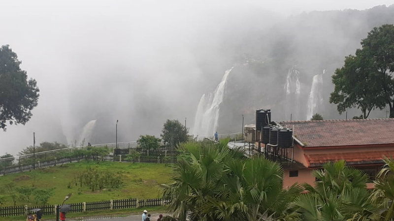 SMG JOG FALLS