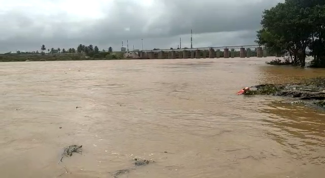 Tungabhadra River Honnali Taluk 1 1