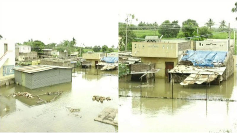 bgk flood 1 medium