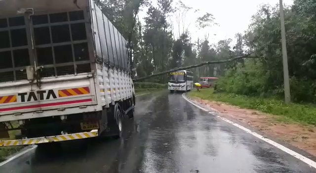 charmadi ghat rain ckm 6