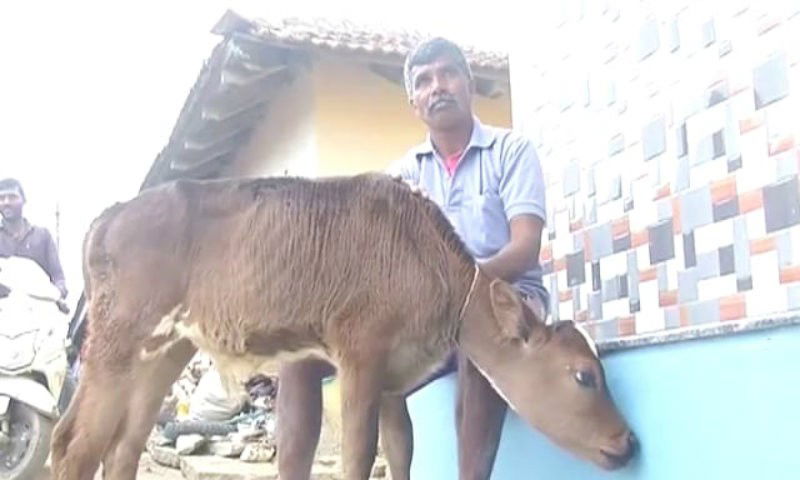ckm farmer 2 medium