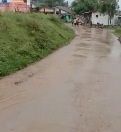dwd rain 4