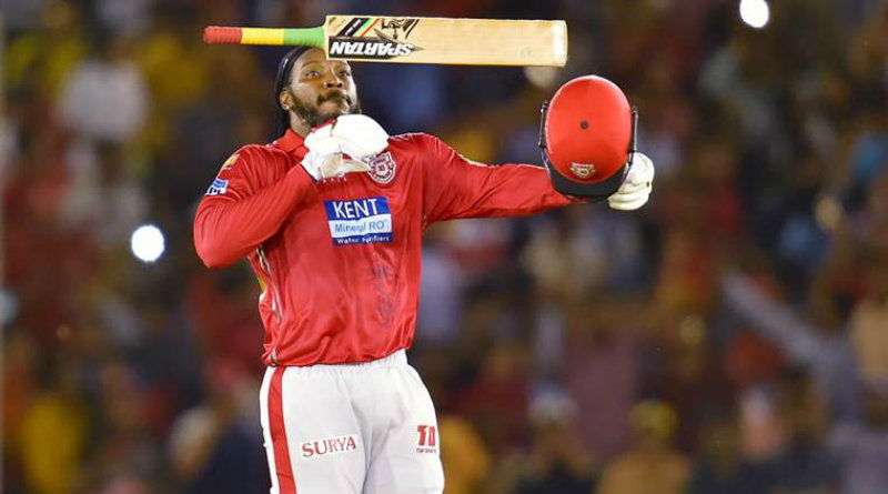 gayle 104 m