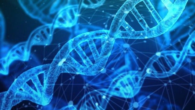 is dna one in a million 327116