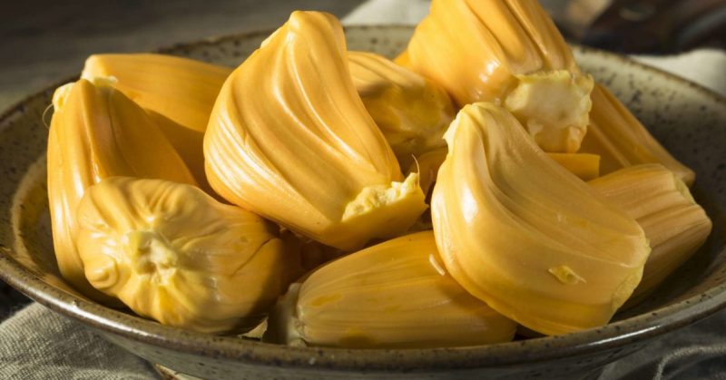 jack fruit