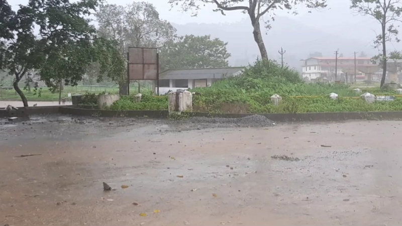 mdk rain