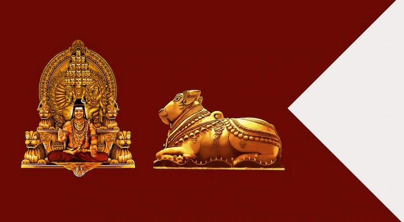 nithyananda medium