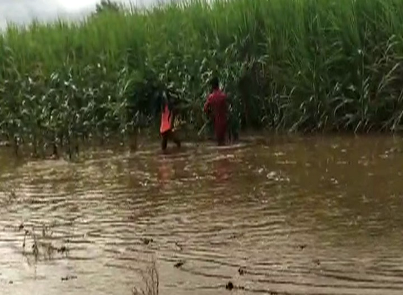rain 1 medium