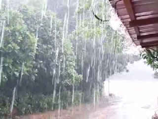 rain