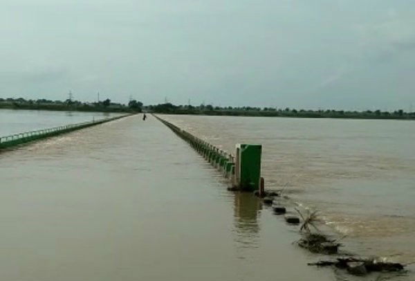 rcr river 3 medium