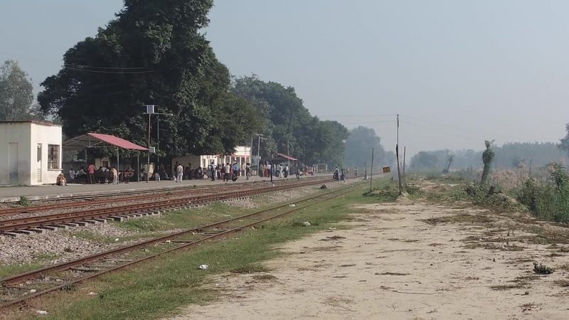 shahi 1