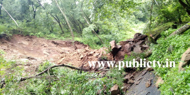 CKM Muthodi Forest a copy