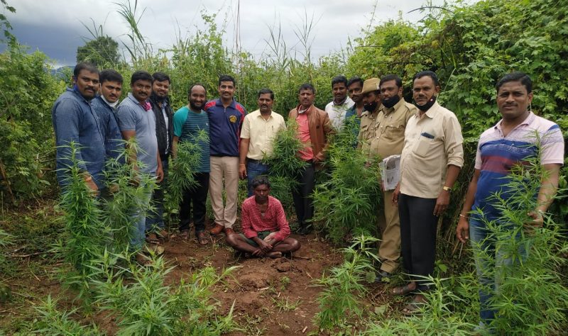 CNG GANJA JAPATHI AV 1 e1600073849713