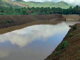Chitradurga Fish