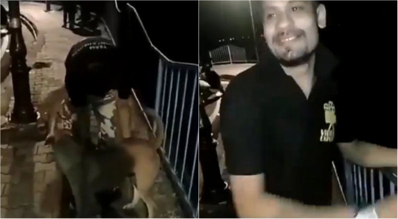 DOG