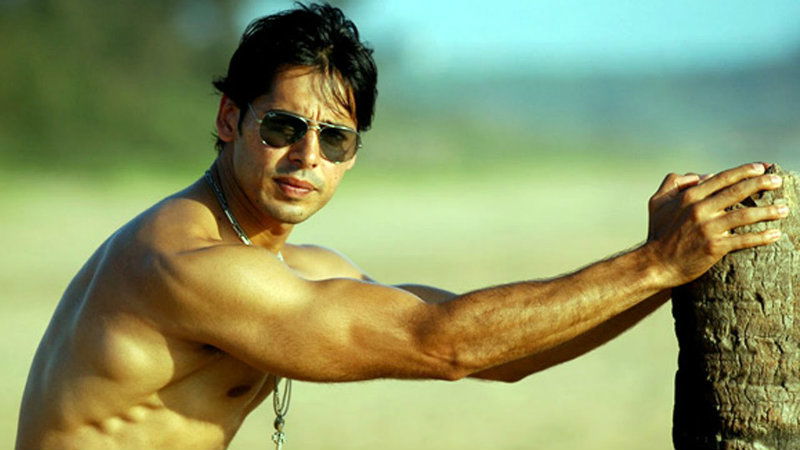 Dino Morea 1