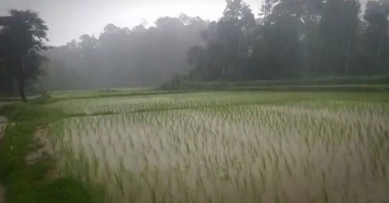 RAIN 5 1