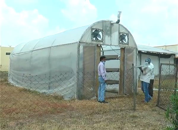 RCR ONION INNOVATION 5