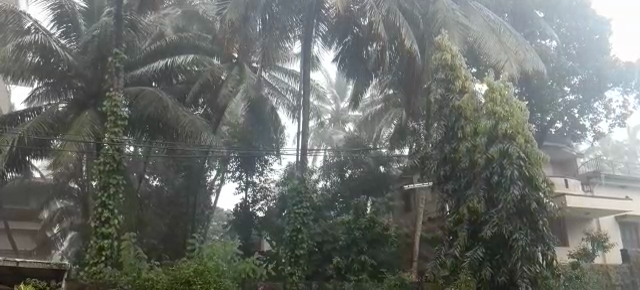 Rain 1