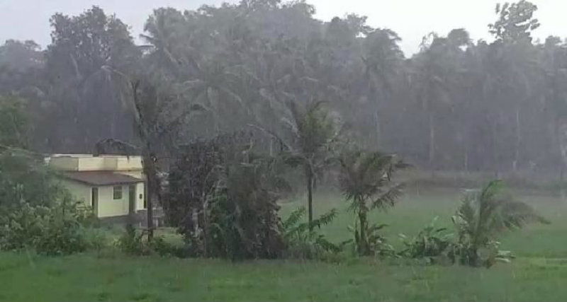 UDP RAIN 2