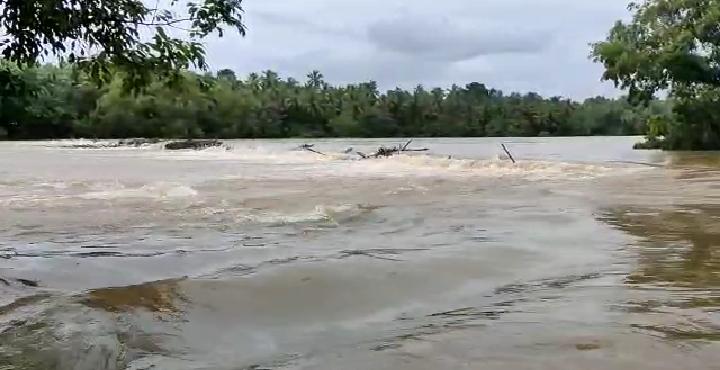 UDP River Rain 1
