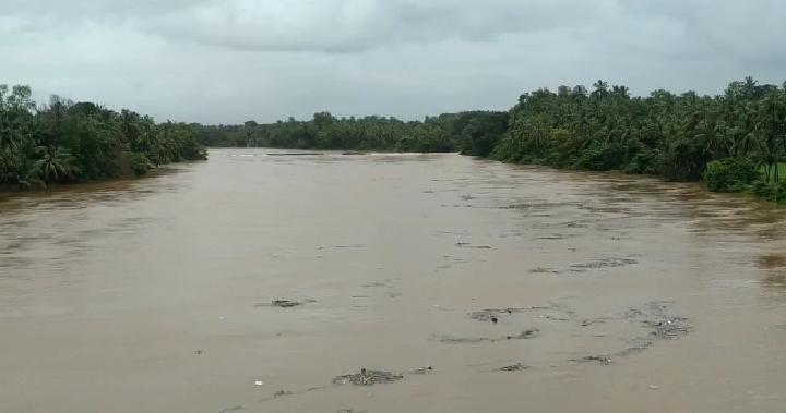 UDP River Rain