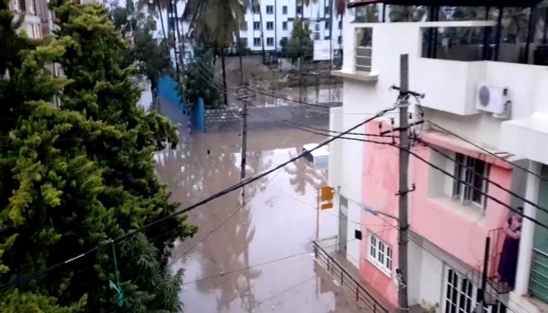 bng rain 5