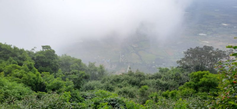 ckb nandi hills 8