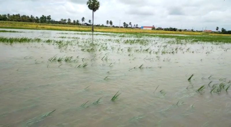 rain 10