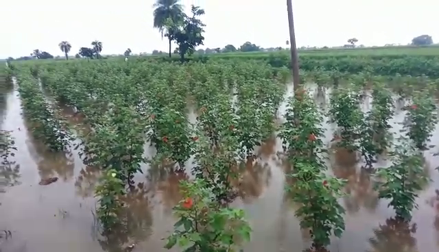 rain 2 2