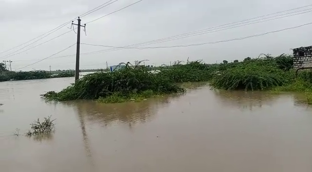 rain 8