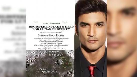 rajput