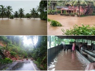 udp rain update