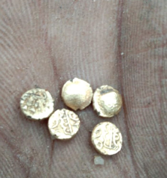 ANE GOLD RAIN AV 4