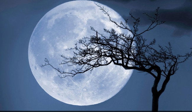 Blue Moon 1